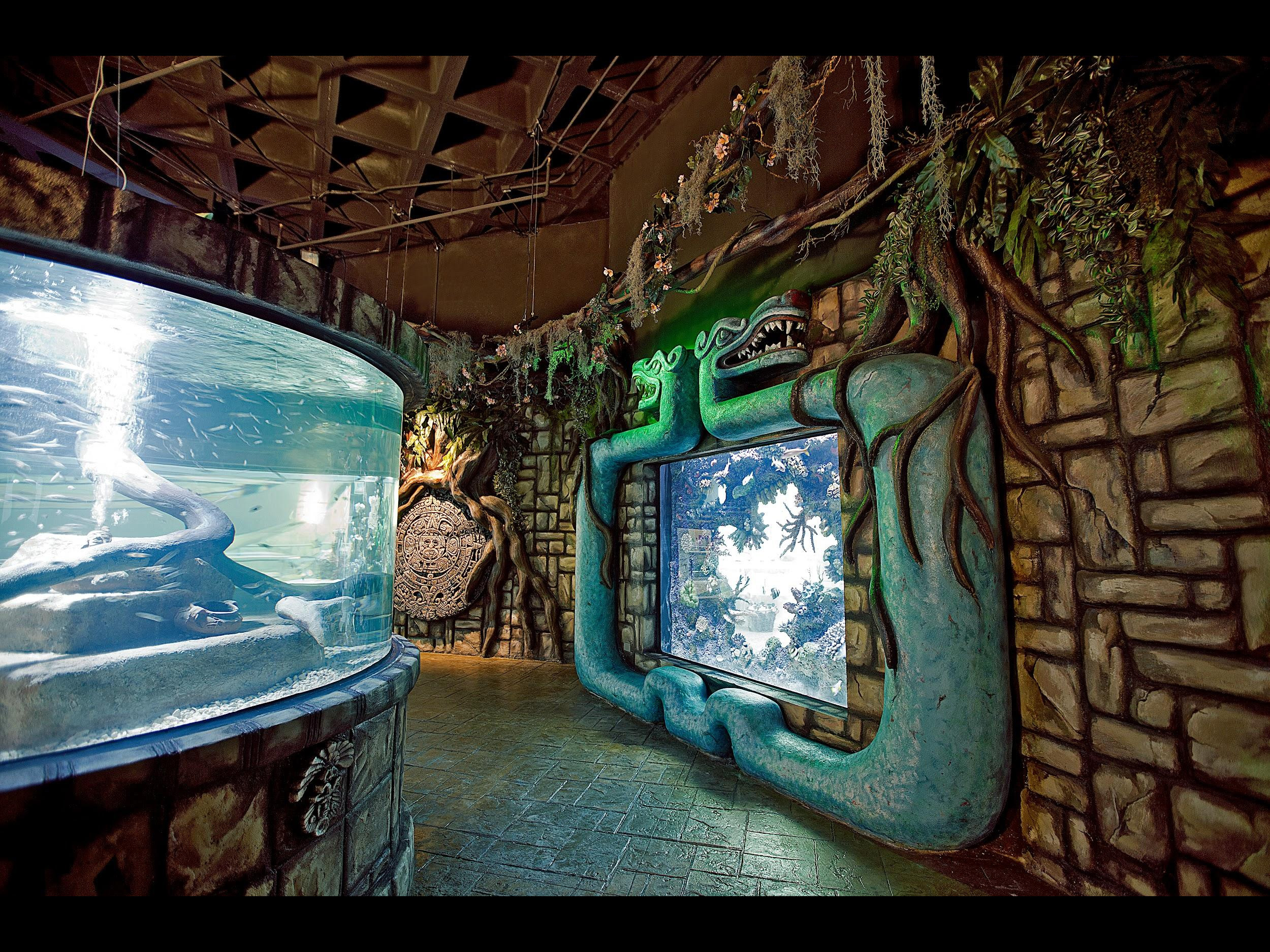 Fish marine fish tank of Aquamundo Aquarium at Sambil Mall Dominican Republic