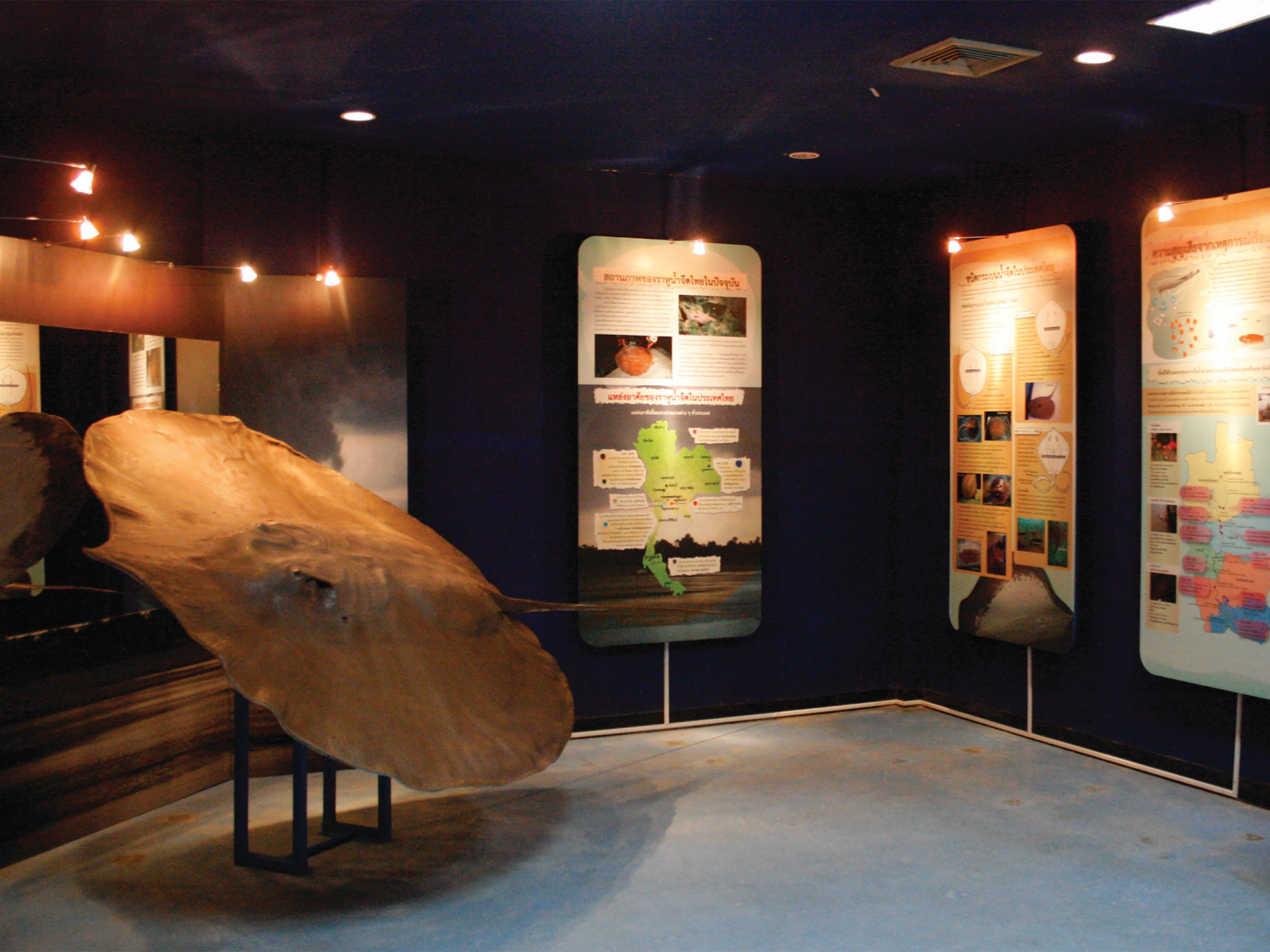 Exhibition at Bangkok Aquarium